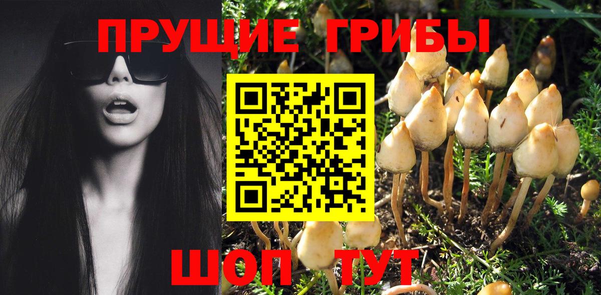 Псилоцибиновые грибы ЛСД  Вход с VPN  Мценск 